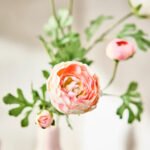 SMYCKA Artificial flower, in/outdoor Ranunculus/pink, 52 cm - Image 4