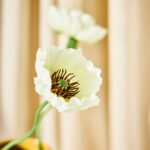 SMYCKA Artificial flower, in/outdoor Poppy/white, 51 cm - Image 5