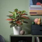 FEJKA Artificial potted plant, in/outdoor Croton, 12 cm - Image 2