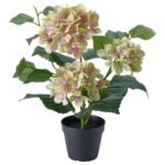 FEJKA Artificial potted plant, in/outdoor/hydrangea white, 12 cm