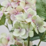 FEJKA Artificial potted plant, in/outdoor/hydrangea white, 12 cm - Image 2