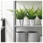 FEJKA Artificial potted plant, in/outdoor fern, 9 cm - Image 3