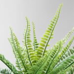 FEJKA Artificial potted plant, in/outdoor fern, 9 cm - Image 5