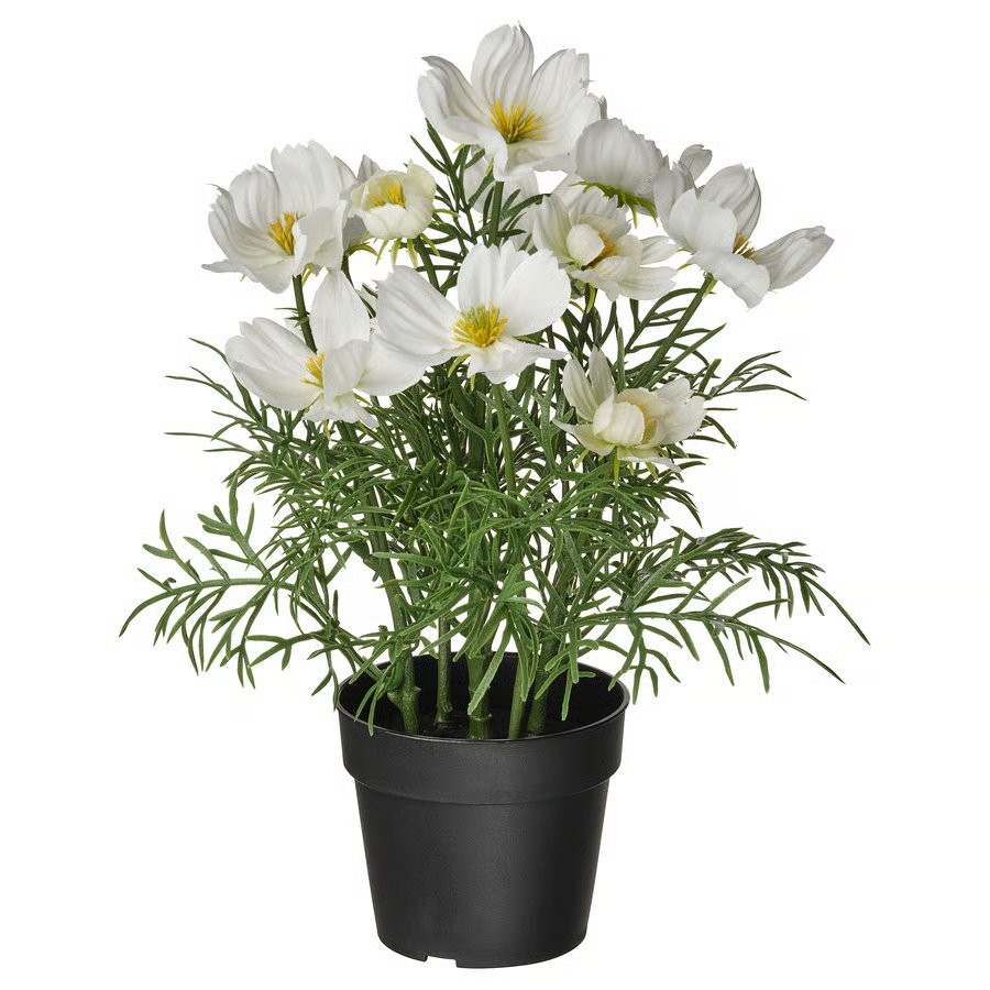 817-1 fejka-artificial-potted-plant-in-outdoor-cosmos-white FEJKA Artificial potted plant, in/outdoor/cosmos white, 9 cm - Image 1