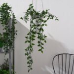 FEJKA Artificial potted plant, in/outdoor/hanging, 9 cm - Image 2