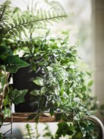 FEJKA Artificial potted plant, in/outdoor/hanging, 9 cm - Image 7