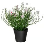 FEJKA Artificial potted plant, in/outdoor/Baby’s breath white, 9 cm