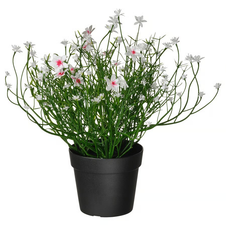 819-1 fejka-artificial-potted-plant-in-outdoor-baby-s-breath-white FEJKA Artificial potted plant, in/outdoor/Baby’s breath white, 9 cm - Image 1