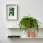FEJKA Artificial potted plant, in/outdoor hanging/fern, 12 cm - Image 2