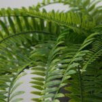 FEJKA Artificial potted plant, in/outdoor hanging/fern, 12 cm - Image 4