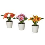 FEJKA Artificial potted plant, in/outdoor/primrose mixed colours, 6 cm