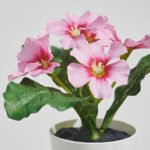 FEJKA Artificial potted plant, in/outdoor/primrose mixed colours, 6 cm - Image 3