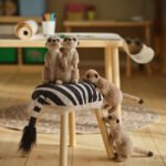 SANDLÖPARE Soft toy, meerkat/beige, 20 cm - Image 4