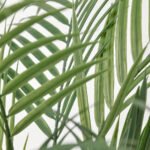 FEJKA Artificial potted plant, in/outdoor Areca palm, 12 cm - Image 3