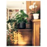 FEJKA Artificial potted plant, in/outdoor Monstera, 12 cm - Image 3