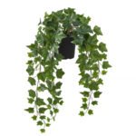 FEJKA Artificial potted plant, in/outdoor hanging/Ivy, 15 cm