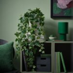FEJKA Artificial potted plant, in/outdoor hanging/Ivy, 15 cm - Image 2