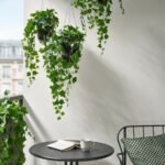 FEJKA Artificial potted plant, in/outdoor hanging/Ivy, 15 cm - Image 3
