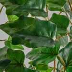 FEJKA Artificial potted plant, in/outdoor/hanging Ivy, 12 cm - Image 3