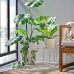 LÅNGNÄBB Plant stand, in/outdoor/white, 26 cm - Image 4