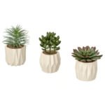 FEJKA Artificial potted plant, set of 3, in/outdoor succulent