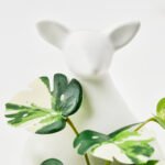 FEJKA Artificial potted plant, kangaroo - Image 4