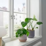 BUSKKAPRIFOL Plant pot, in/outdoor/beige, 12 cm - Image 2