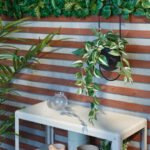 FEJKA Artificial potted plant, in/outdoor/tradescantia zebrina, 12 cm - Image 3