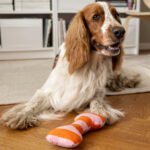 UTSÅDD Soft toy for dog, striped/light pink bright orange - Image 2