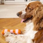 UTSÅDD Soft toy for dog, striped/light pink bright orange - Image 4