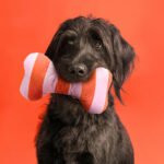 UTSÅDD Soft toy for dog, striped/light pink bright orange - Image 5