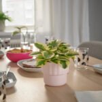 HÄNGSÄLG Plant pot, light pink, 9 cm - Image 3