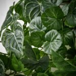 FEJKA Artificial plant, set of 3 with wall holder, in/outdoor green - Image 4