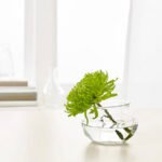 VILJESTARK Vase, clear glass, 30 cm - Image 2