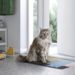 TURISTVÄG Door mat, indoor, cat pattern, 40x60 cm - Image 7