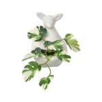Artificial Plants & Pots