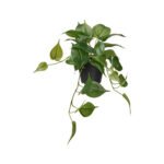 Artificial Plants