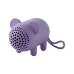 Speakers
