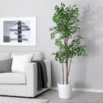 FEJKA Artificial potted plant, in/outdoor Weeping fig, 21 cm - Image 2
