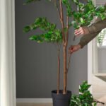 FEJKA Artificial potted plant, in/outdoor Weeping fig, 21 cm - Image 3