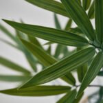 FEJKA Artificial potted plant, in/outdoor/bamboo, 21 cm - Image 4