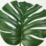 FEJKA Artificial potted plant, in/outdoor Monstera, 19 cm - Image 6