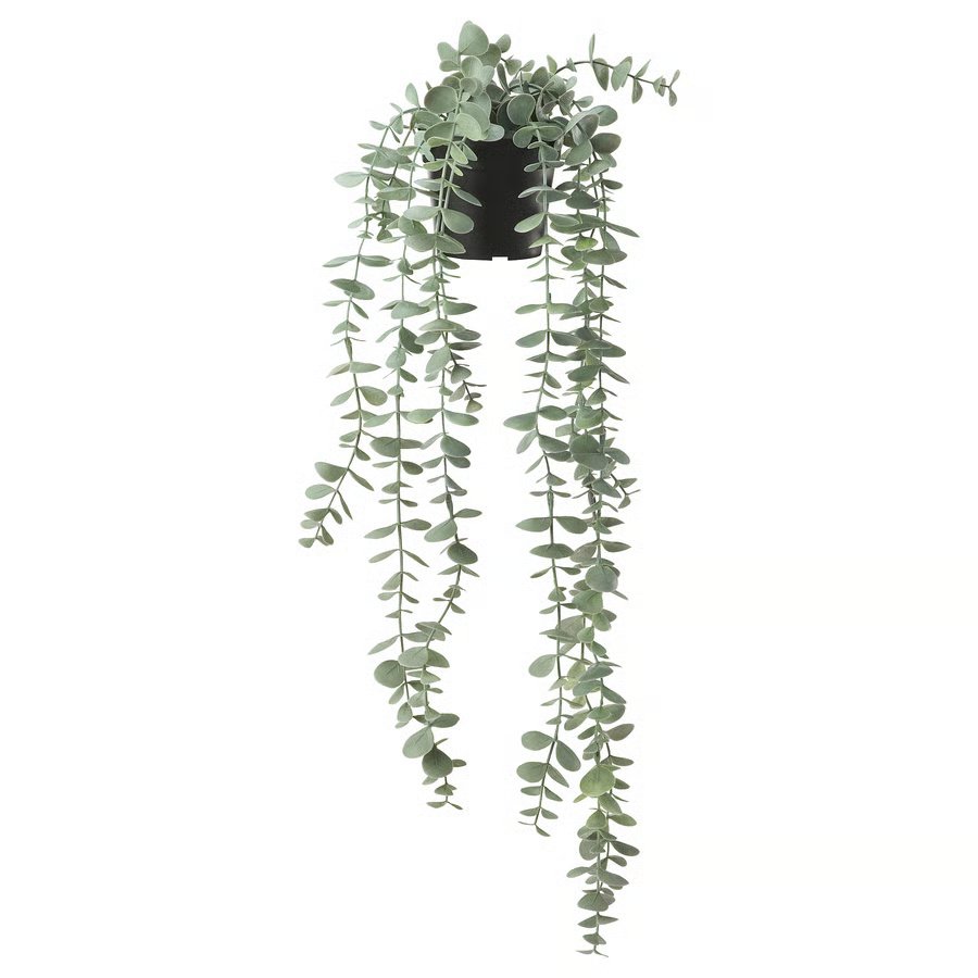 1198-1 fejka-artificial-potted-plant-in-outdoor-hanging-eucalyptus FEJKA Artificial potted plant, in/outdoor hanging/eucalyptus, 9 cm - Image 1