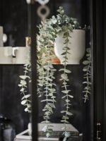 FEJKA Artificial potted plant, in/outdoor hanging/eucalyptus, 9 cm - Image 3