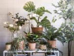 FEJKA Artificial potted plant, in/outdoor hanging/eucalyptus, 9 cm - Image 4