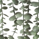 FEJKA Artificial potted plant, in/outdoor hanging/eucalyptus, 9 cm - Image 7