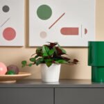 FEJKA Artificial potted plant, in/outdoor Jewel orchid, 9 cm - Image 2