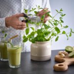 BRUGDHAJ Jar with lid, beige, 1 l - Image 3