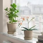 FEJKA Artificial potted plant, Orchid white, 9 cm - Image 2