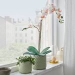 FEJKA Artificial potted plant, Orchid white, 12 cm - Image 2